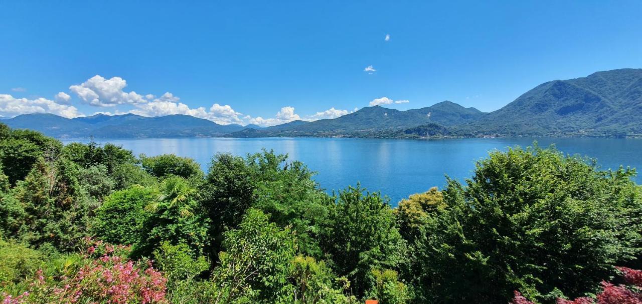 Bella Vista Maggiore